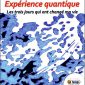 Expérience quantique