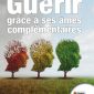 Guérir grâce à ses âmes complémentaires