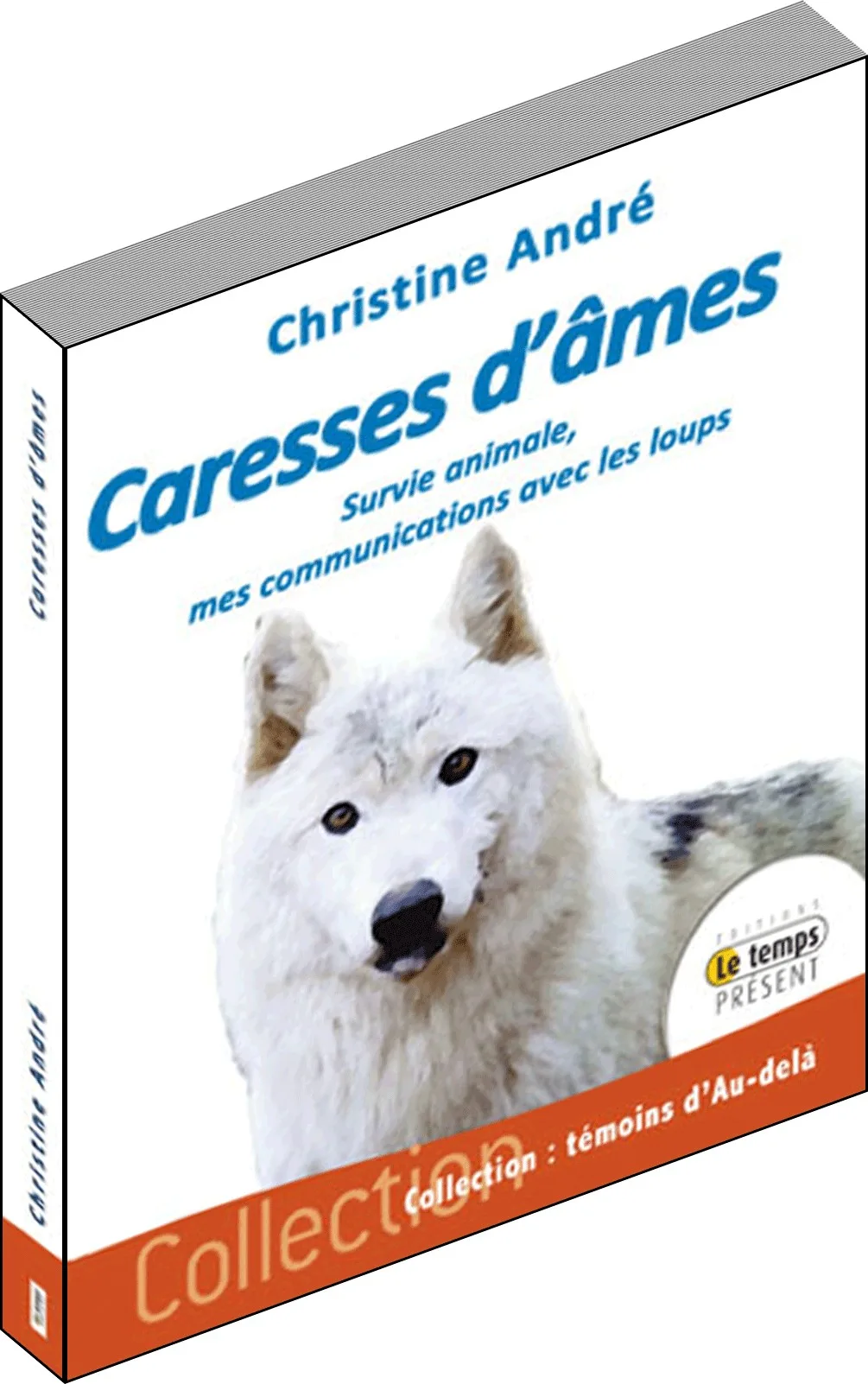 Illustration intérieure du livre « Caresses d’âmes », JMG Éditions